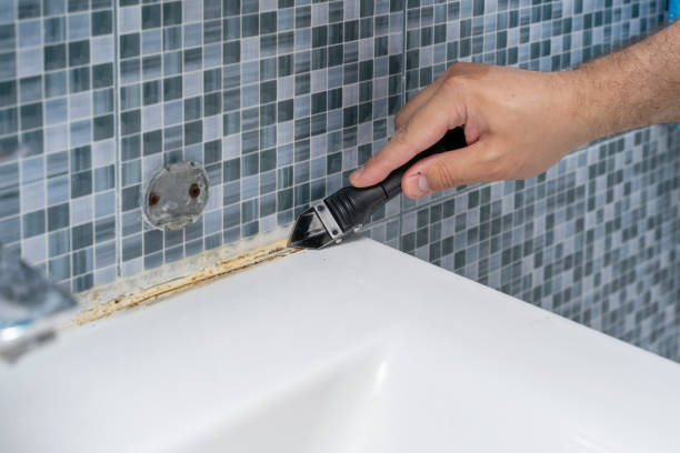 Best Office Mold Removal Services  in North Massapequa, NY